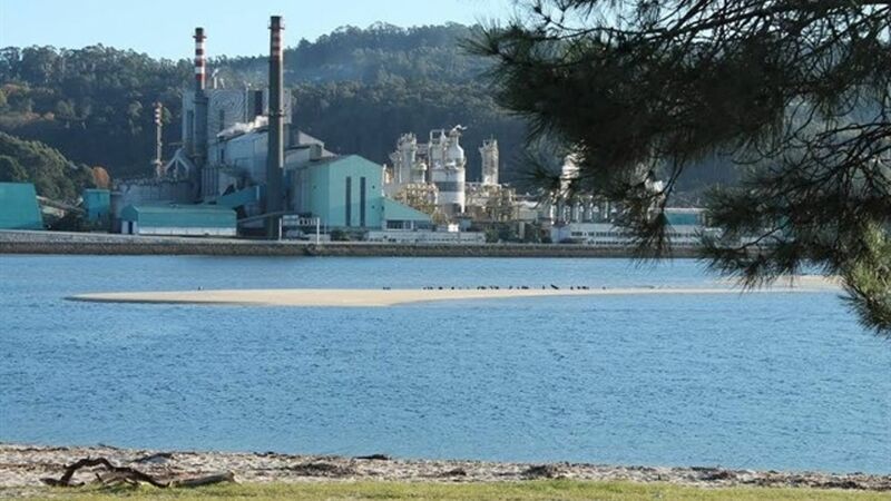 La biofábrica de Ence en Pontevedra iniciará el lunes su parada técnica anual