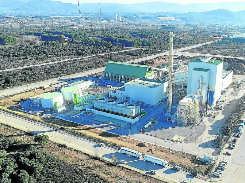 Forestalia invertirá 100 millones y creará 350 empleos con una planta de biomasa en Zuera